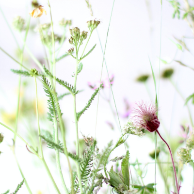 Cleanse, Detox, and Intermittent Fasting: How The Right Reset Can Change Your Health
